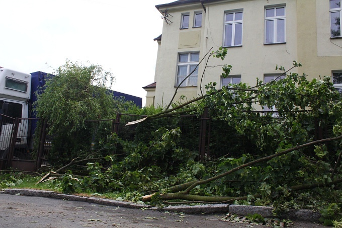 Skutki huraganu w Międzylesiu