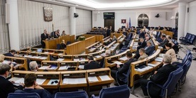 Senat: Gorąca dyskusja nad ustawą o in vitro