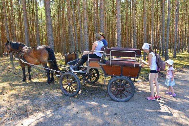 Rokitno - dzień 1