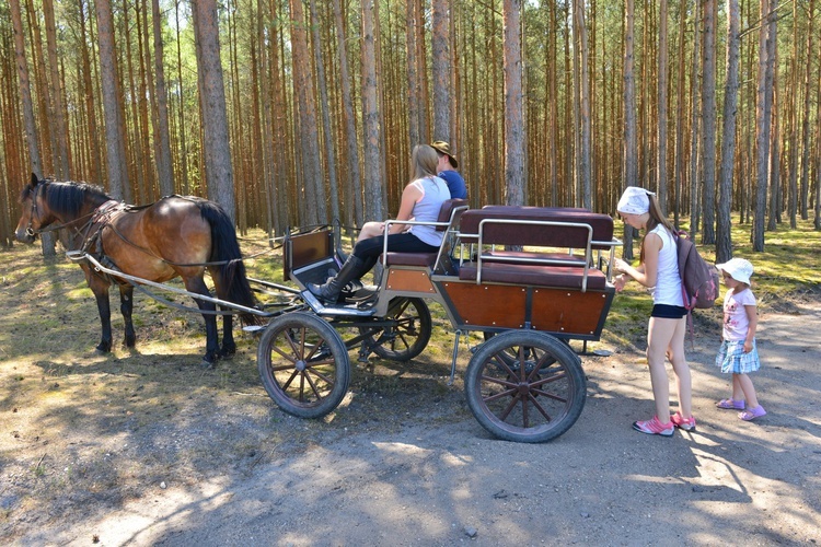 Rokitno - dzień 1