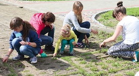  Wszyscy przybywający do Stagniewa dbają o wygląd terenu wokół sanktuarium