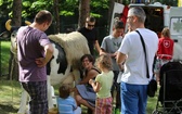 Piknik Rodzinny w bielskiej parafii NSPJ