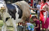 Piknik Rodzinny w bielskiej parafii NSPJ