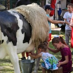 Piknik Rodzinny w bielskiej parafii NSPJ