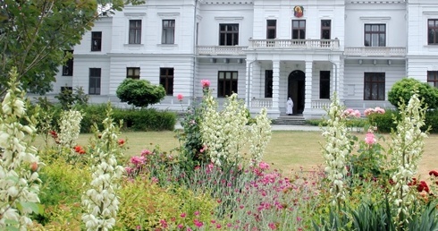 Księżniczka w glanach 