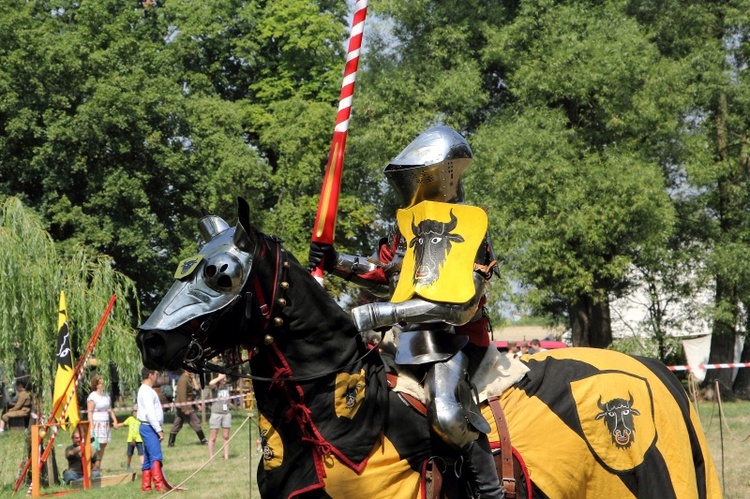 VI Odyseja Historyczna w Leszczynku