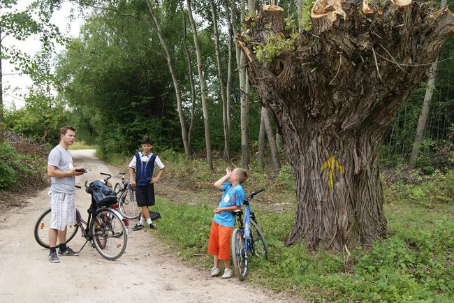 Jakubowe pielgrzymowanie