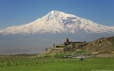 Pies, który czterokrotnie zdobył Ararat