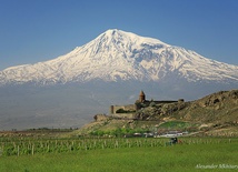 Pies, który czterokrotnie zdobył Ararat