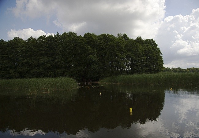 Archeolodzy w Nętnie