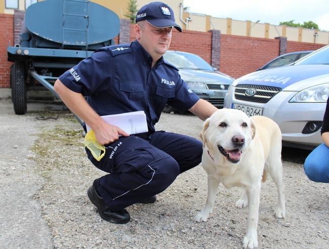 Eliminacje do Kynologicznych Mistrzostw Policji