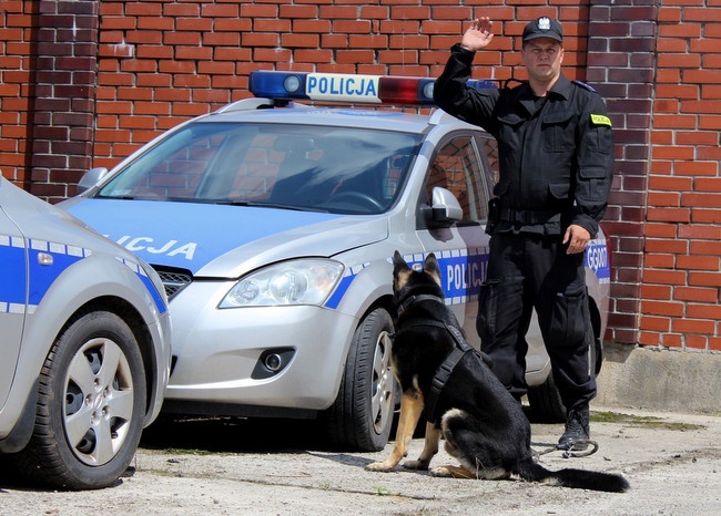 Eliminacje do Kynologicznych Mistrzostw Policji