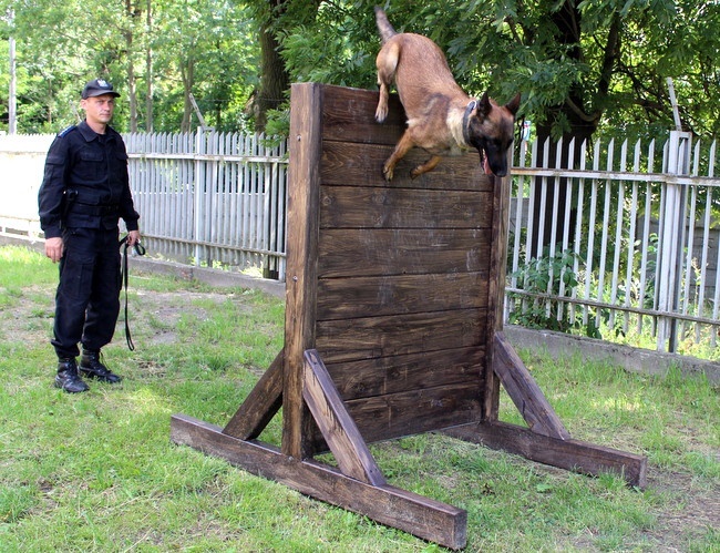 Eliminacje do Kynologicznych Mistrzostw Policji