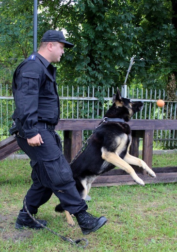 Eliminacje do Kynologicznych Mistrzostw Policji