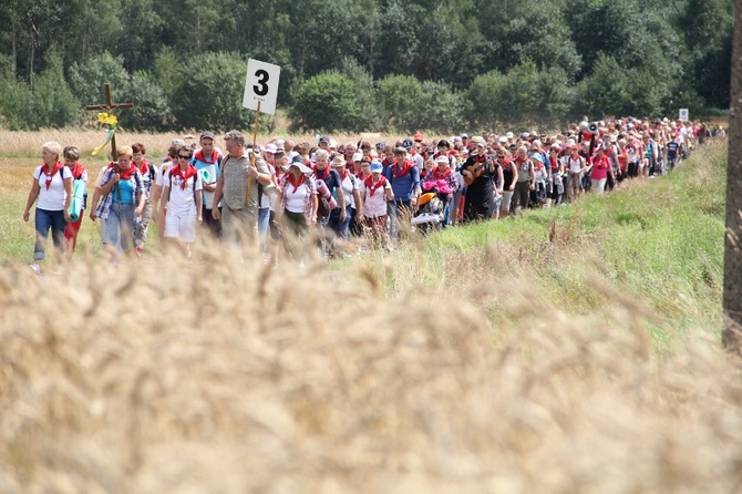 70. Pielgrzymka Rybnicka - dzień pierwszy - w drodze