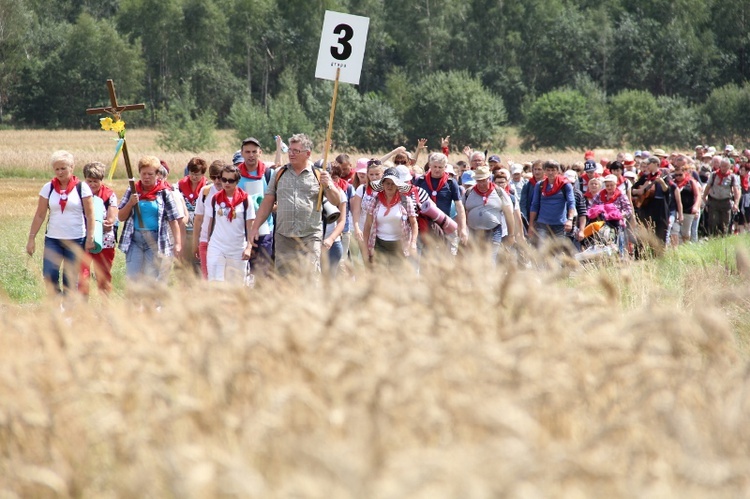 70. Pielgrzymka Rybnicka - dzień pierwszy - w drodze