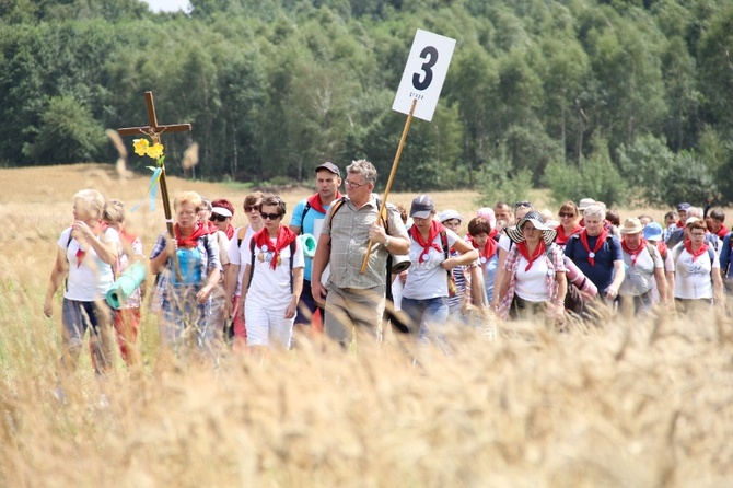 70. Pielgrzymka Rybnicka - dzień pierwszy - w drodze