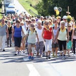 70. Pielgrzymka Rybnicka - dzień drugi - w drodze