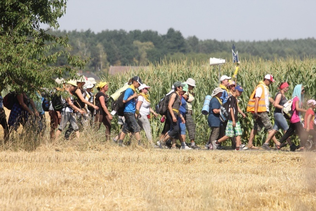 Smażing przed Jełową