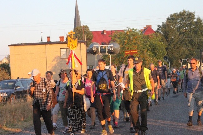 Z Borek Wielkich w stronę lasu za Dąbrową