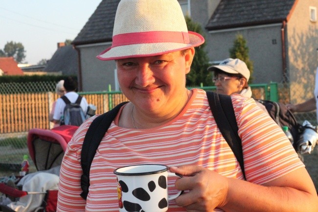 Z Borek Wielkich w stronę lasu za Dąbrową