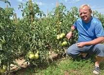  W gospodarstwie Mirosława Szweda uprawa pomidora  to kilkupokoleniowa tradycja