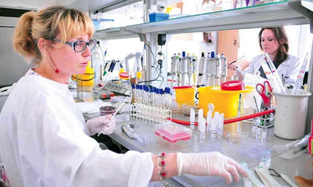 Praca w laboratorium wymaga cierpliwości i uwagi
