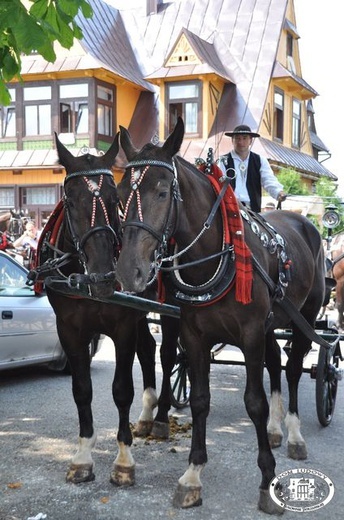 Góralskie świętowanie w Bukowinie