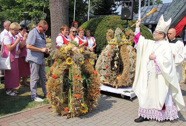 Dożynki w Rokitnie