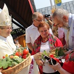 Dożynki w Rokitnie