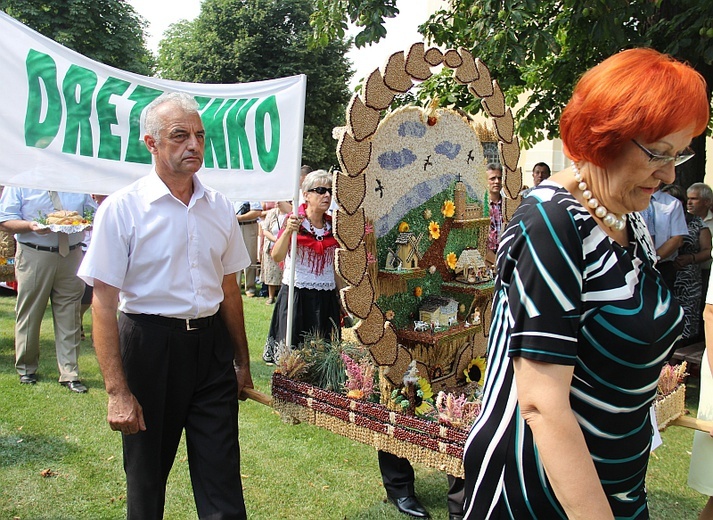 Dożynki w Rokitnie