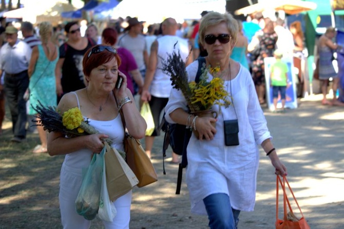 Regionalne Święto Ziół w Olsztynku - 2015