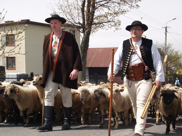 V Jarmark Pasterski w Koniakowie - 2014