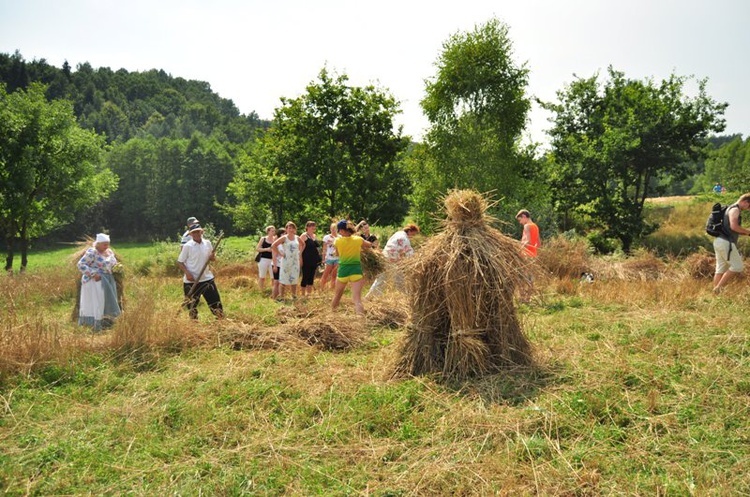 Żniwa w "Paryi"