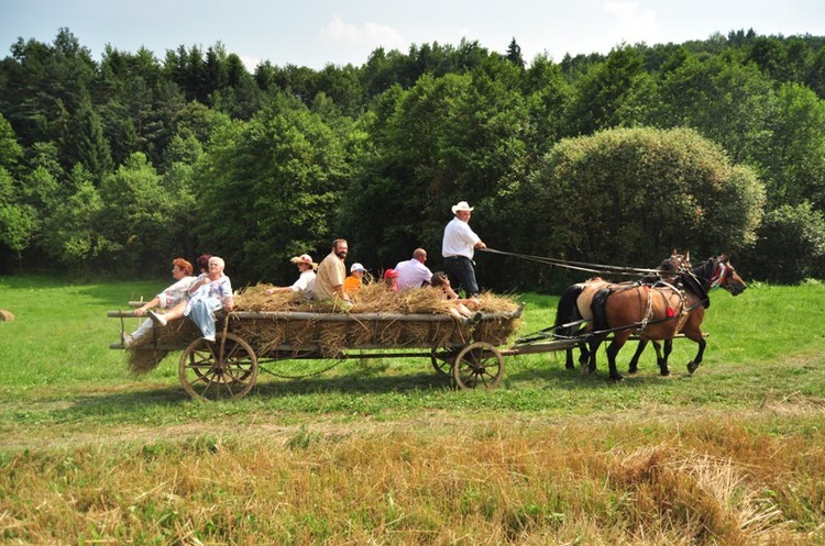 Żniwa w "Paryi"