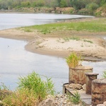 Niski poziom wody w Wiśle
