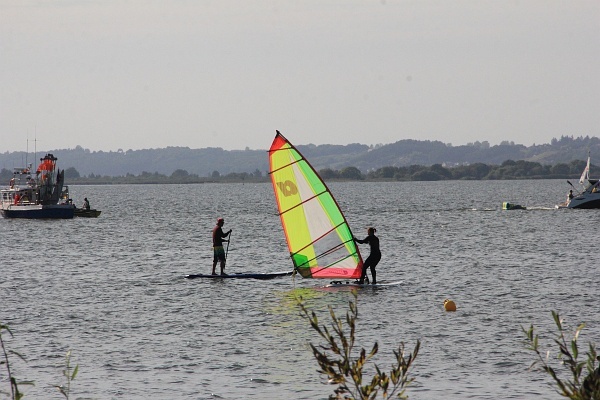 Marsz Śledzia 2015