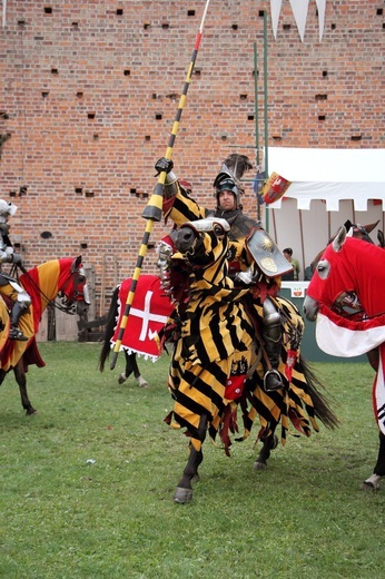 XVII Międzynarodowy Turniej Rycerski