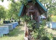  Skansen Pszczelarski w Pszczewie 