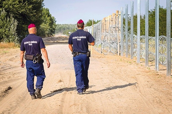 Policja węgierska w czasie kontroli płotu