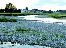  Dunajec płynie w bardzo małym nurcie, który stwarza niebezpieczeństwo dla flisaków pienińskich i turystów