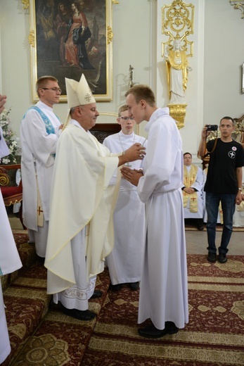 Diecezjalna Pielgrzymka LSO