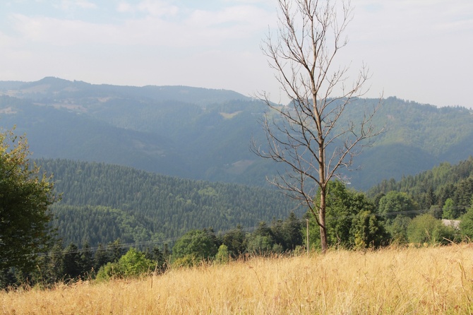 Piwniczna Zdrój - Drogi św. Jakuba