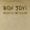 Burning Bridges