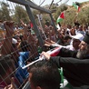 Niedziela, 23 sierpnia, palestyńscy mieszkańcy Beit Jala, głównie chrześcijanie, protestują przeciwko grabieży ich ziemi przez wojsko izraelskie