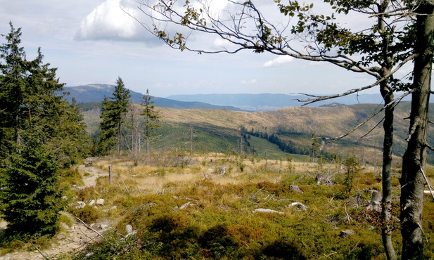 Dotknąć Modlitwy Pańskiej