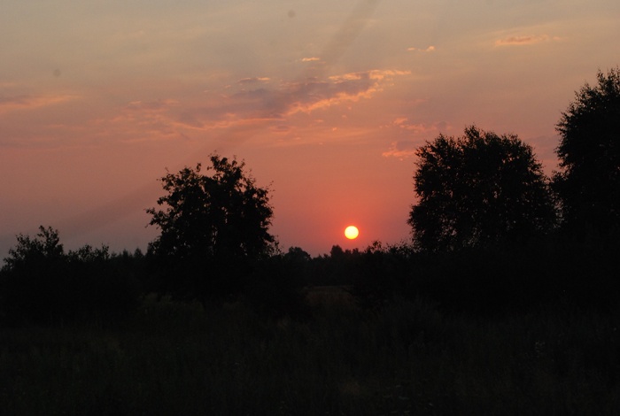 Pielgrzymka na złoto - cz. 2