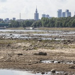 "Przedpotopowe" znaleziska na dnie Wisły