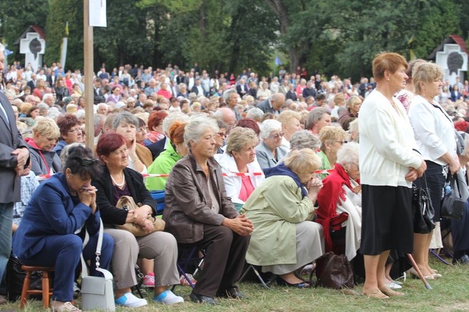 Odpust w Wąwolnicy 