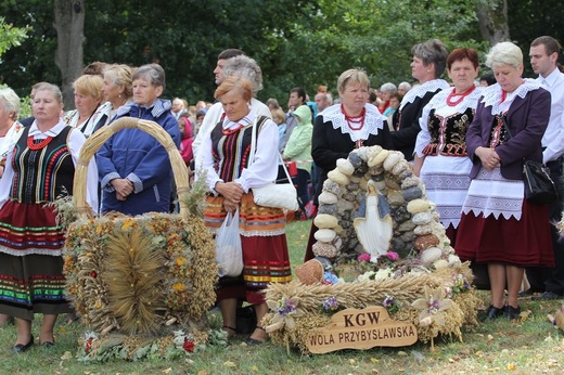 Odpust w Wąwolnicy 